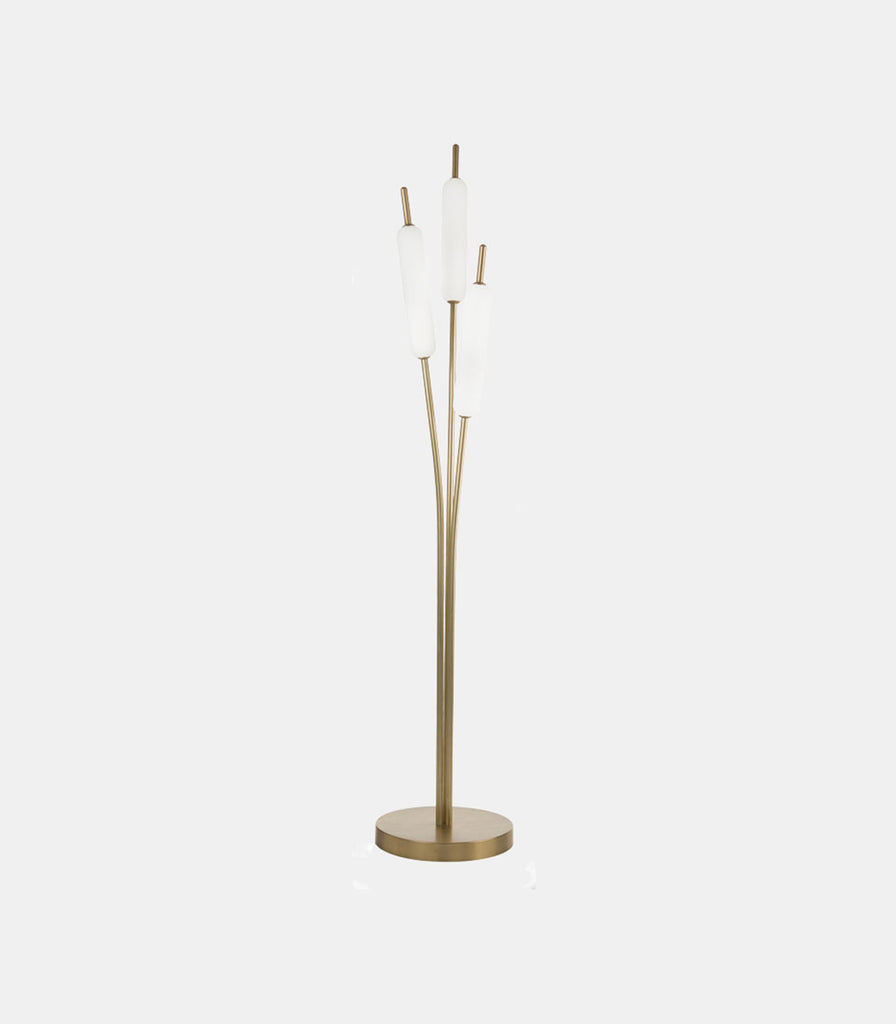 Il Fanale Typha Floor Lamp in Frosted/Natural