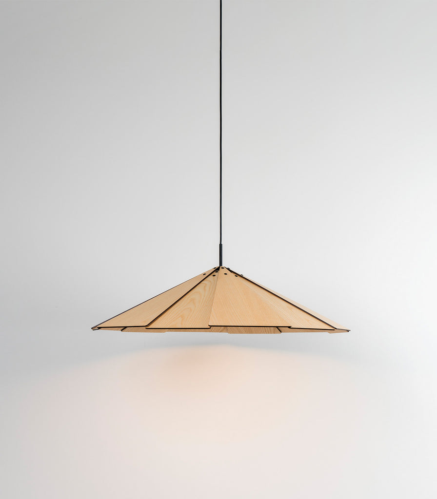 Milan Sepal Pendant Light featured within interior space